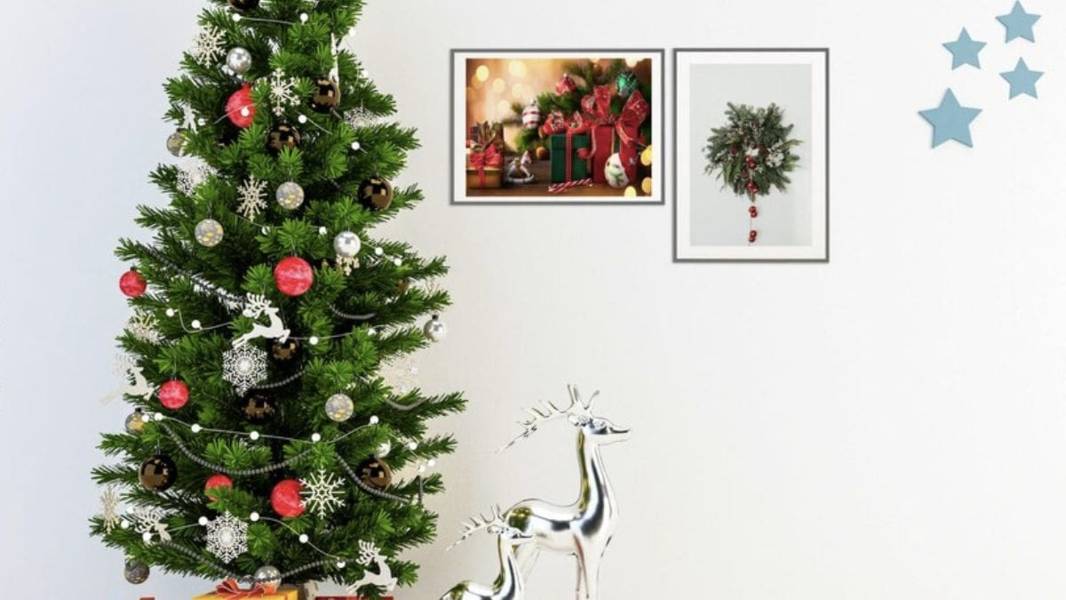 Dịch Vụ Cho Thuê Cây Thông Noel Tại Tân Bình. Ảnh 4